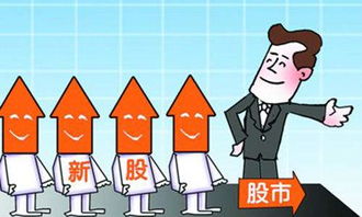 華陽集團(002906)新股申購中簽率解析與中簽號碼查詢指南