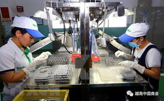 技術轉讓 越日工業合作的橋梁與引擎